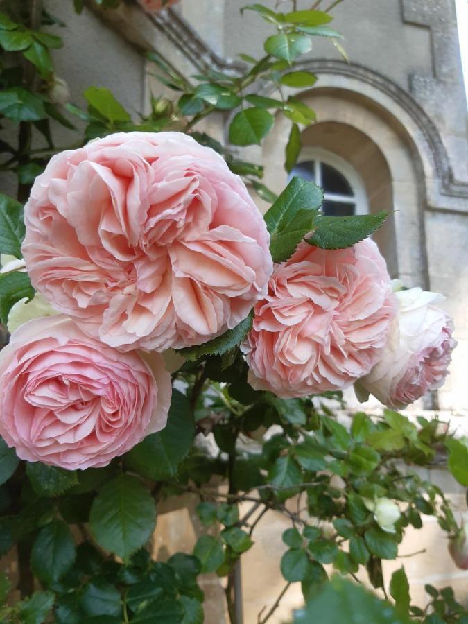 La Maison Pelloquin Bed & Breakfast *